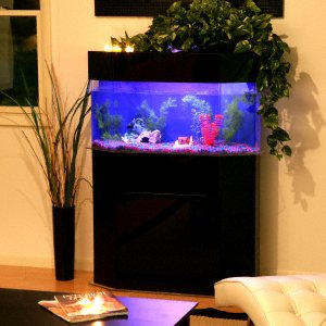 Acrylic pentagon fish tank stand